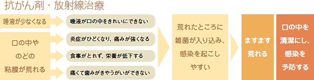 抗がん剤・放射線治療により、唾液が少なくなったり口の中やのどの粘膜が荒れると荒れたところに雑菌が入り込んで感染を起こしやすく、ますます荒れることがあります。口の中を清潔にし、感染を予防しましょう