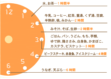 食べ物の胃の停滞時間の目安